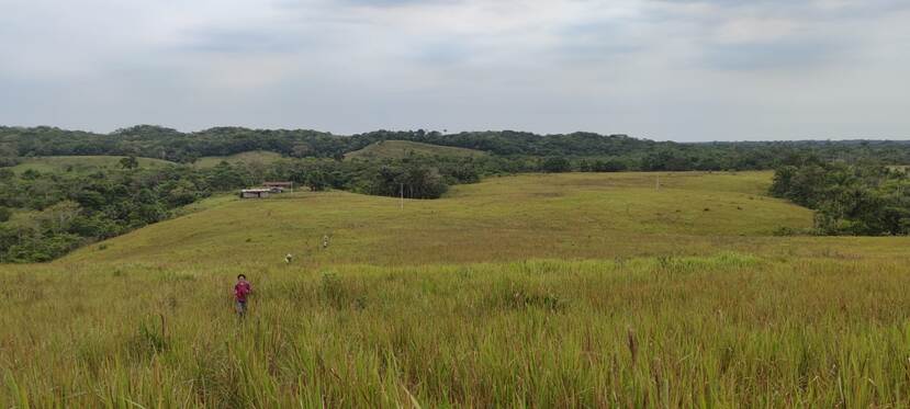 Ontbost gebied in Solano.